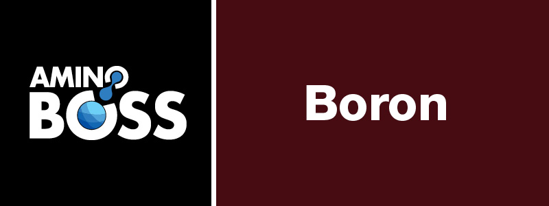 AMINO BOSS BORON - Sipcam Australia